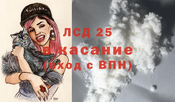 мет Алексин